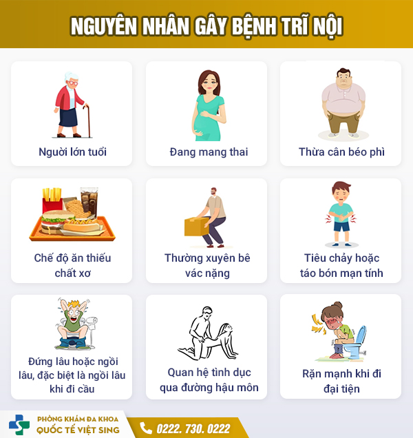 https://www.benhtribacninh.com/wp-content/uploads/2023/05/nguyen-nhan-benh-tri-noi.jpg